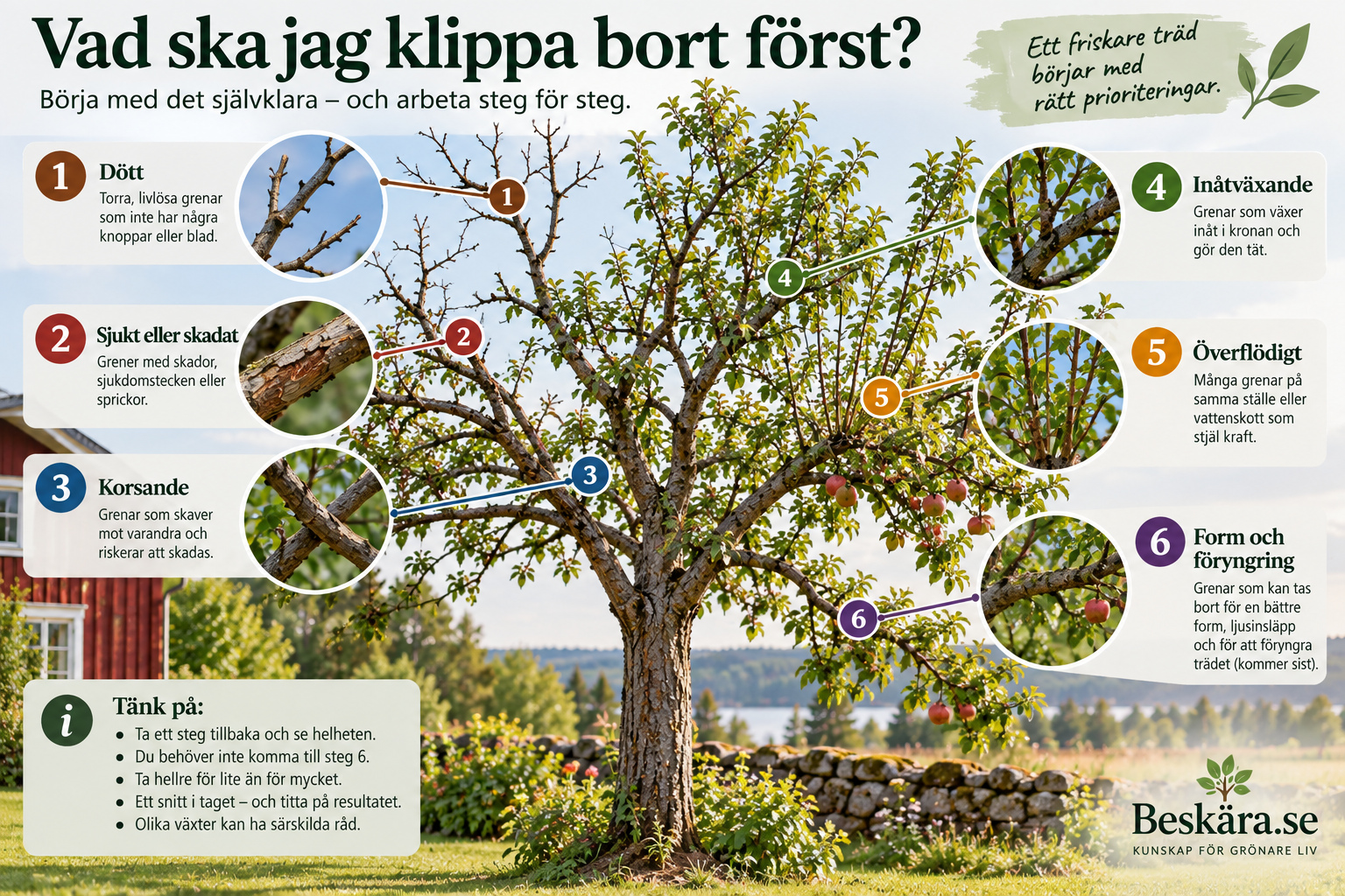 Vad ska jag klippa bort först?