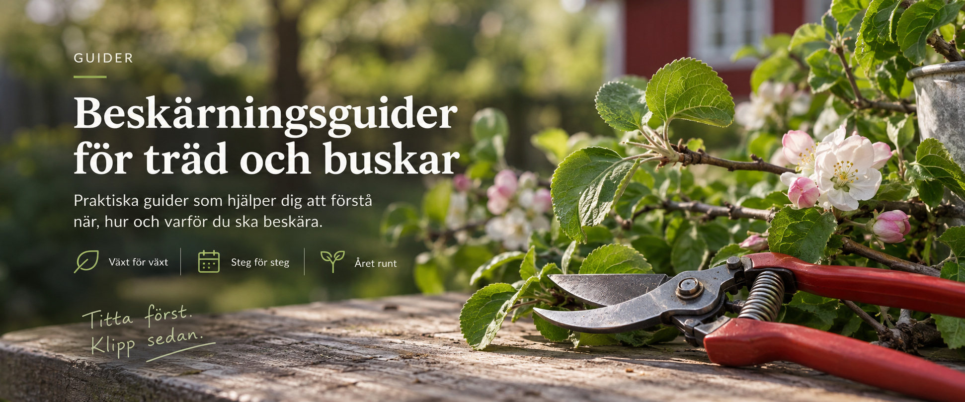Beskärningsguider